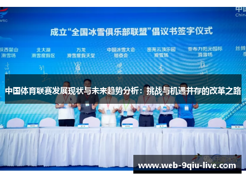 中国体育联赛发展现状与未来趋势分析:挑战与机遇并存的改革之路