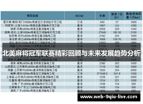 北美麻将冠军联赛精彩回顾与未来发展趋势分析