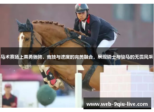 马术赛场上英勇驰骋,竞技与速度的完美融合,展现骑士与骏马的无畏风采