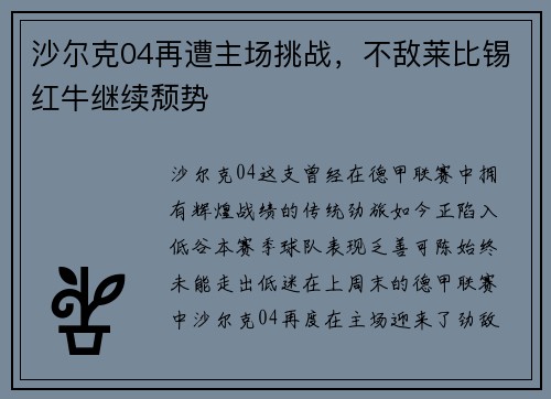 沙尔克04再遭主场挑战,不敌莱比锡红牛继续颓势